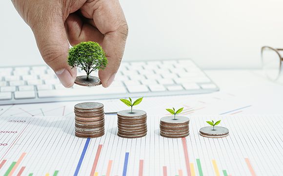 Wealth Creation